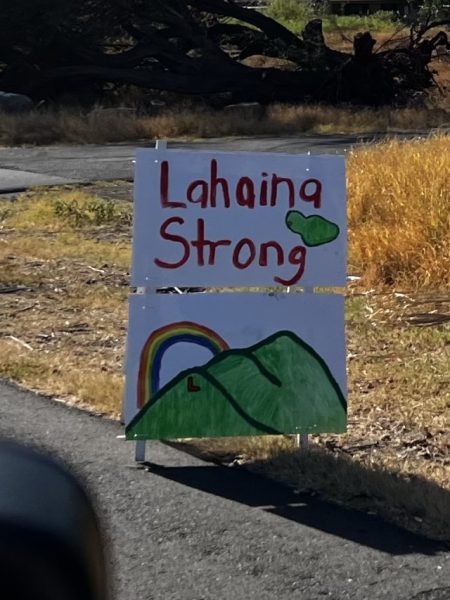 Lahaina Strong sign up for all to see on the way into Lahaina.
Source: EPA Photo and Video Gallery (https://www.epa.gov/maui-wildfires/photo-and-video-gallery)