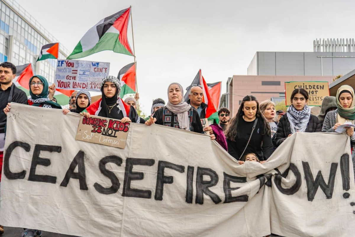 Palestine supportive protesters march down streets and demand for a ceasefire. Sourced from the Organization of World Peace (OWP).