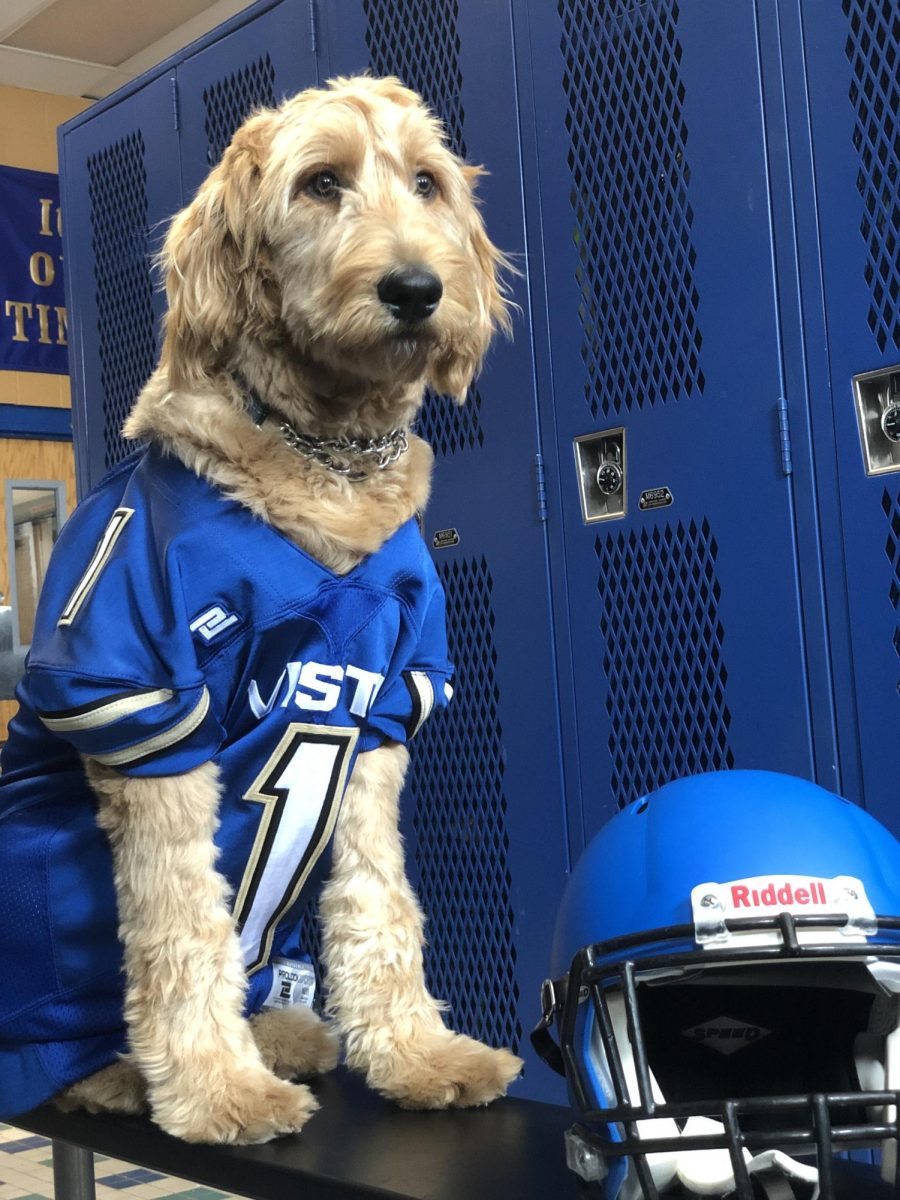 In his rookie year at Sierra Vista, Dood suits up for his first football season