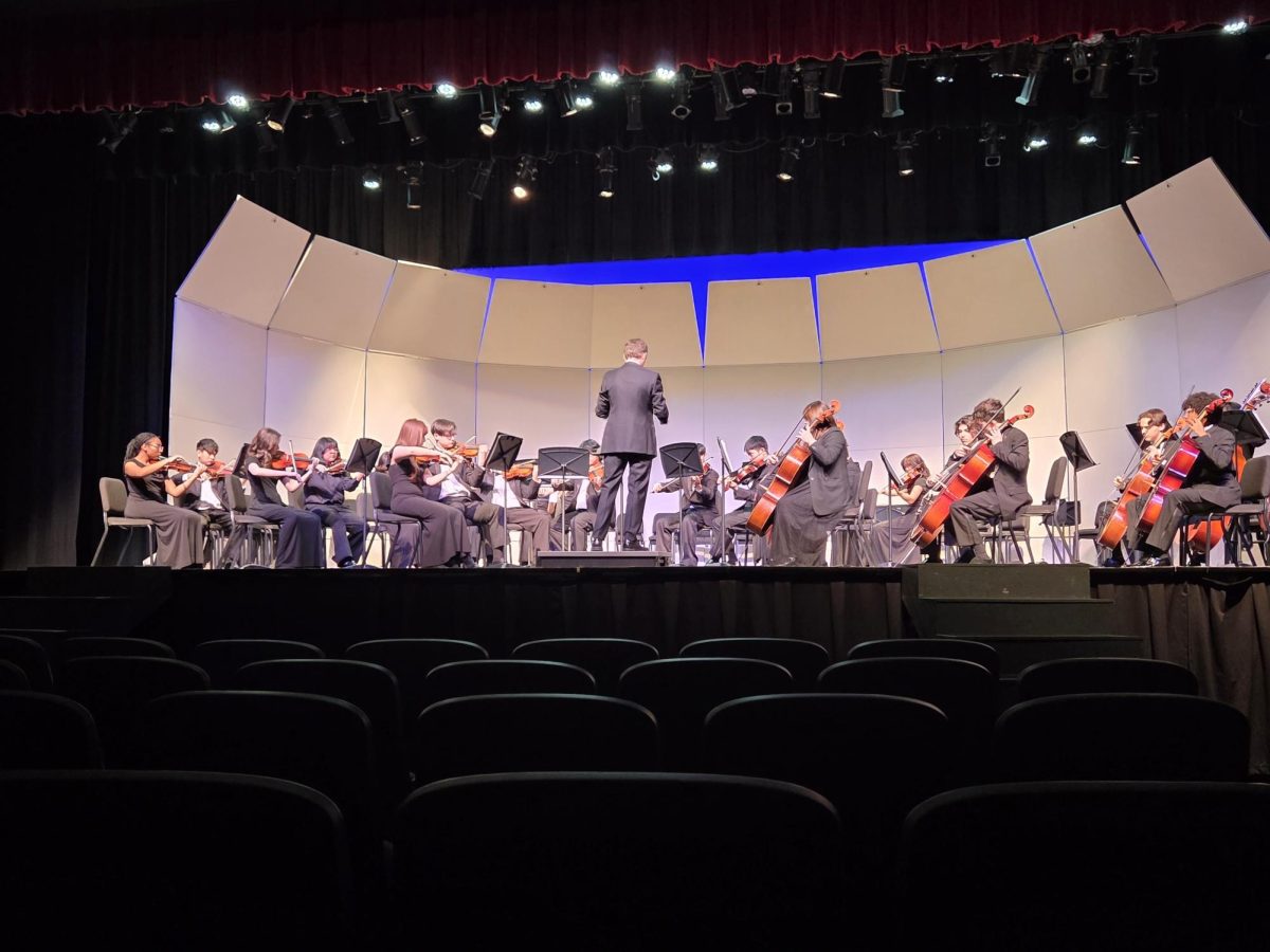 Chamber orchestra at the Utah performance putting on a flawless show for all to see (and hear)