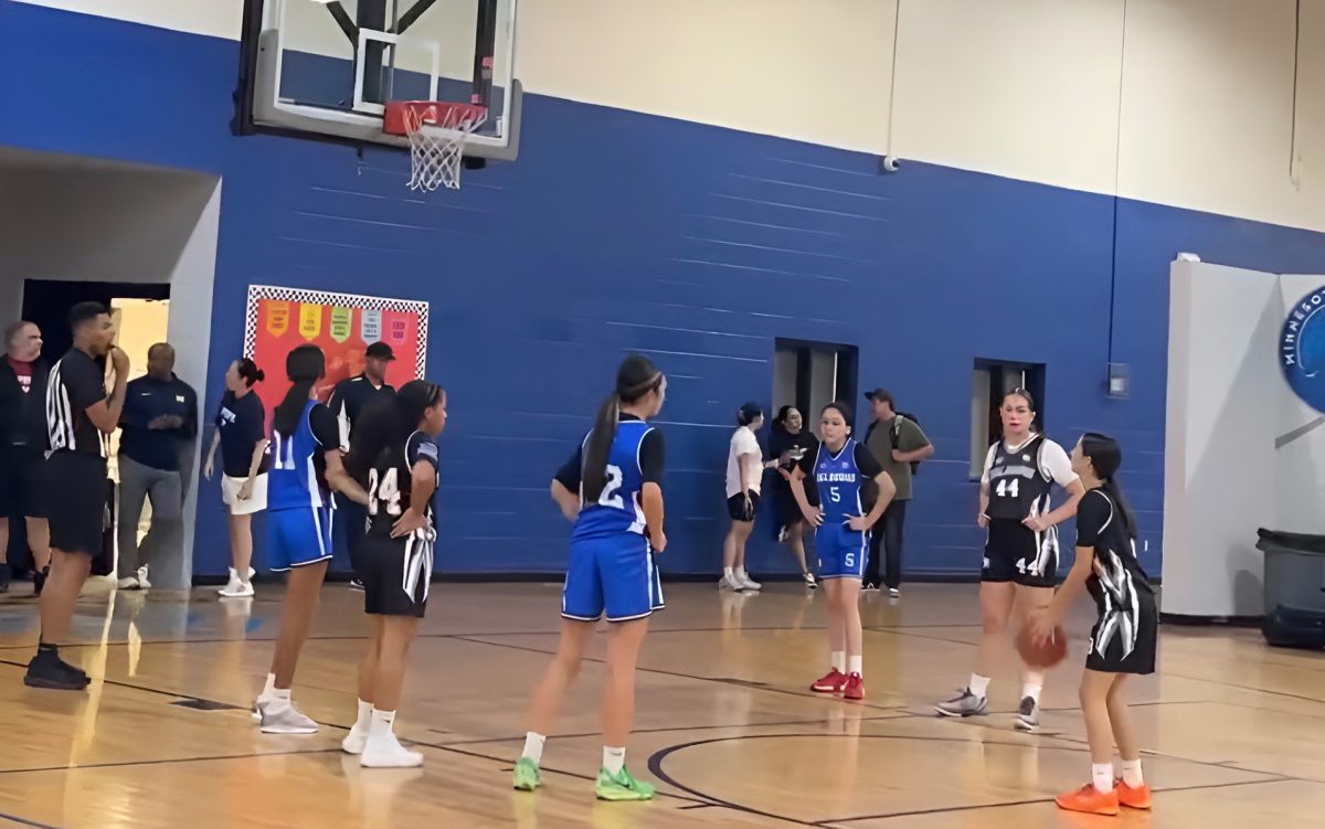 Players from GYB use the WNBA as a huge inspiration when following their dreams. This picture is from one of their games where Miracle played Stars.